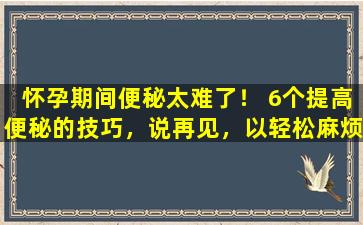 怀孕期间便秘太难了！ 6个提高便秘的技巧，说再见，以轻松麻烦